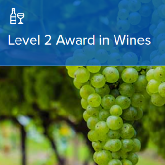23年度11月開講】 WSET®Level 2 Award in Wines | 資格を目指す講座 